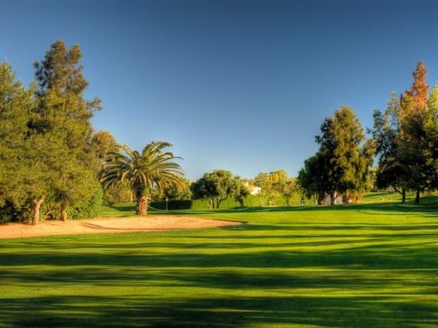 >Alto Golf