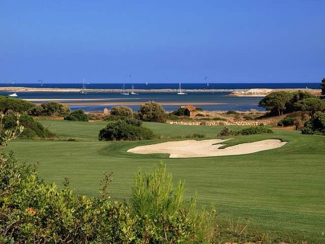 >Palmares