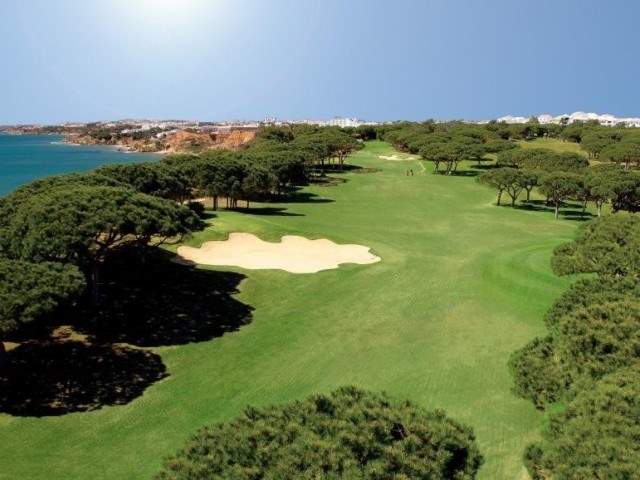 >Pine Cliffs